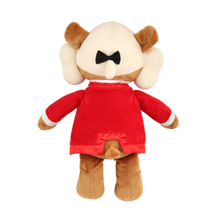 Load image into Gallery viewer, Bear - Musical